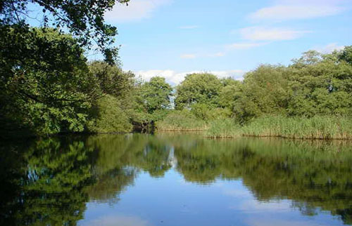 Sandhall Back Pond