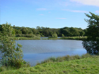 Sandhall Ponds